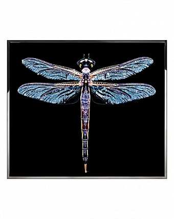 Panel, picture LIBRA