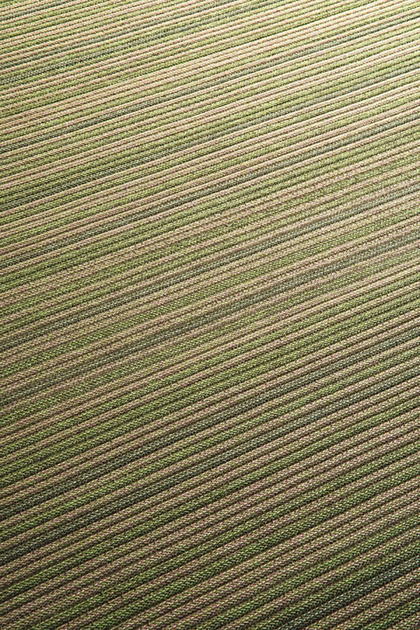 Fabric rug Parallelo PAOLA LENTI factory PAOLA LENTI from Italy. Foto №2