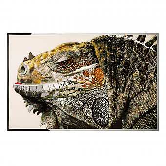 Panel, picture IGUANA