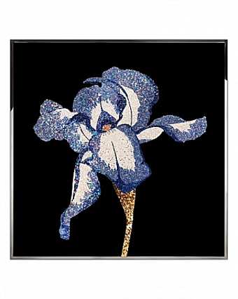 Panel, picture IRIS