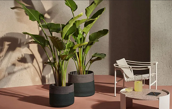 Low Polypropylene Plant Pot Podor CASSINA factory CASSINA from Italy. Foto №6