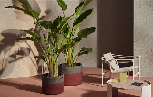 Low Polypropylene Plant Pot Podor CASSINA factory CASSINA from Italy. Foto №5