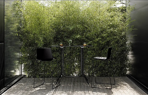 High garden stool with backrest Kristalia Rama factory Kristalia from Italy. Foto №3