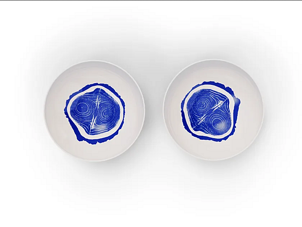 Set of 2 porcelain soup plates CASSINA Tronc GNR CP 22 factory CASSINA from Italy. Foto №1