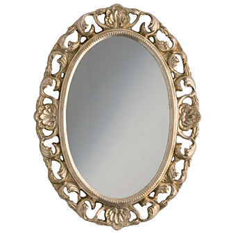 Mirror SP1007