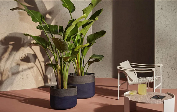 Low Polypropylene Plant Pot Podor CASSINA factory CASSINA from Italy. Foto №7