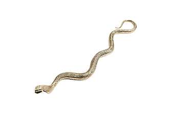 Accessories ROBERTO CAVALLI SNAKE Accessories ROBERTO CAVALLI SNAKE factory ROBERTO CAVALLI from Italy