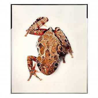 Panel, picture RANA