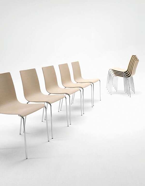 Chair MIDJ Passepartout T-TS factory MIDJ from Italy. Foto №3