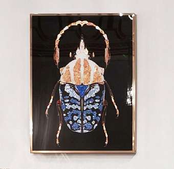 Panel, picture COLEOTTERO