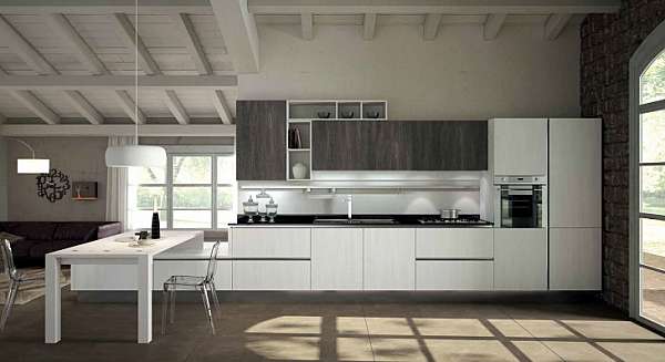 Kitchen RECORD CUCINE FLY comp.1 factory RECORD CUCINE from Italy. Foto №1