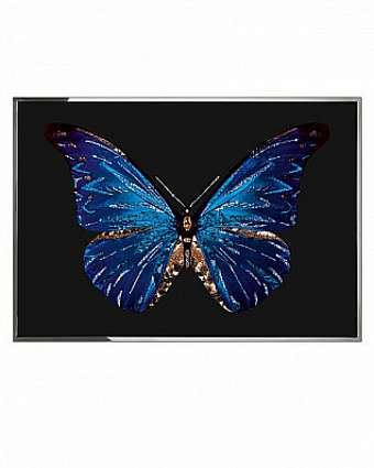 Panel, picture FARFALLA