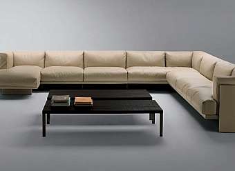 Couch Polo