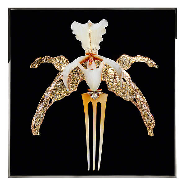 Panel, picture VISIONNAIRE (IPE CAVALLI) Orchidea Lalique factory VISIONNAIRE (IPE CAVALLI) from Italy. Foto №1