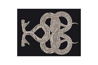 Carpet ROBERTO CAVALLI SNAKE Carpet ROBERTO CAVALLI SNAKE factory ROBERTO CAVALLI from Italy