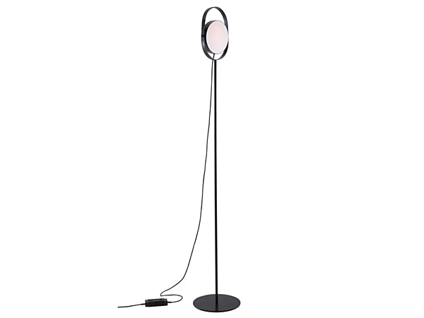 LED Adjustable Metal Floor Lamp LIGNE ROSET 10072850 factory LIGNE ROSET from Italy. Foto №2