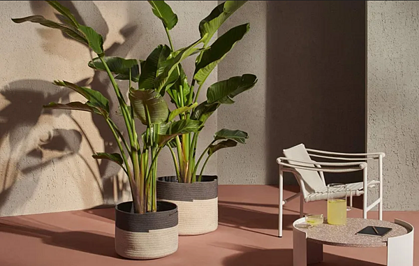 Low Polypropylene Plant Pot Podor CASSINA factory CASSINA from Italy. Foto №2