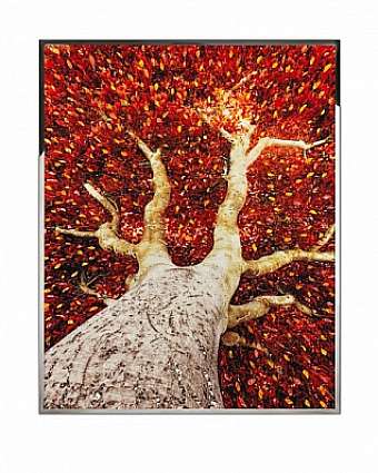 Panel, picture ALBERO