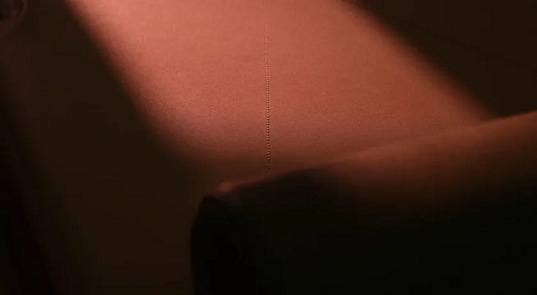 Tanned Leather Day Bed Tugurium Paolo Castelli factory Paolo Castelli from Italy. Foto №5