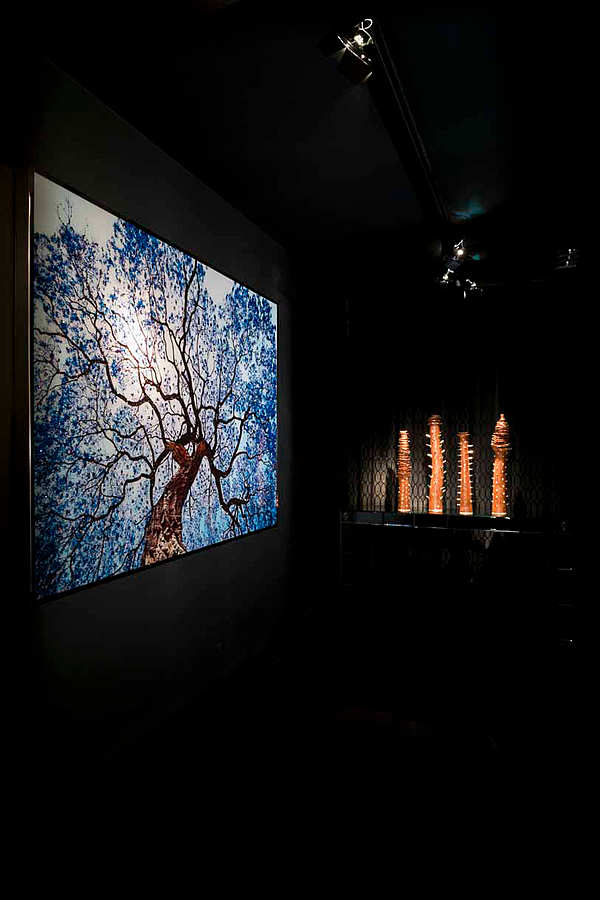 Panel, picture VISIONNAIRE (IPE CAVALLI) Tree Of Dreams factory VISIONNAIRE (IPE CAVALLI) from Italy. Foto №2