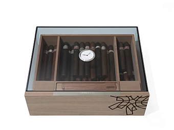 Wood and Glass Humidor Club GIORGETTI GA411G