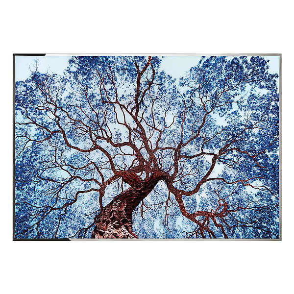 Panel, picture VISIONNAIRE (IPE CAVALLI) Tree Of Dreams factory VISIONNAIRE (IPE CAVALLI) from Italy. Foto №1