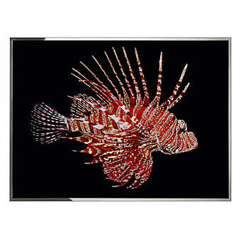 Accessories VISIONNAIRE (IPE CAVALLI) Accessories VISIONNAIRE (IPE CAVALLI) factory VISIONNAIRE (IPE CAVALLI) from Italy