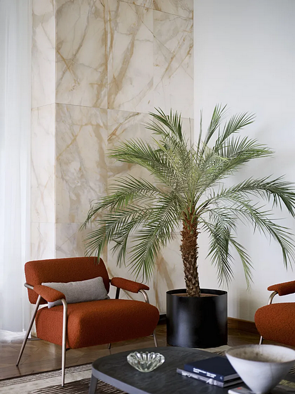 Fabric armchair with armrests Potocco Stay 909 PL 909/PL factory POTOCCO from Italy. Foto №3