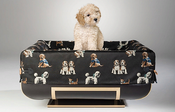 Poof MANTELLASSI "COSMOPOLITAN" Adone Doggy bed factory MANTELLASSI from Italy. Foto №1